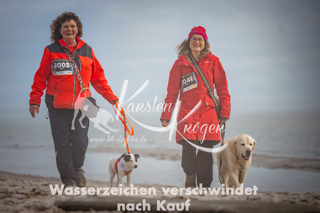 1201_ZZ93639 | kk-dogfotos