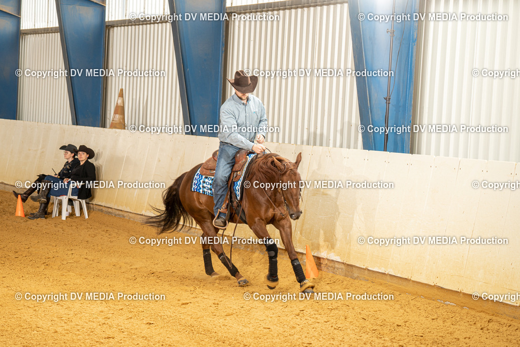 MIT01111 | dv-media-shop - Realisiert mit Pictrs.com