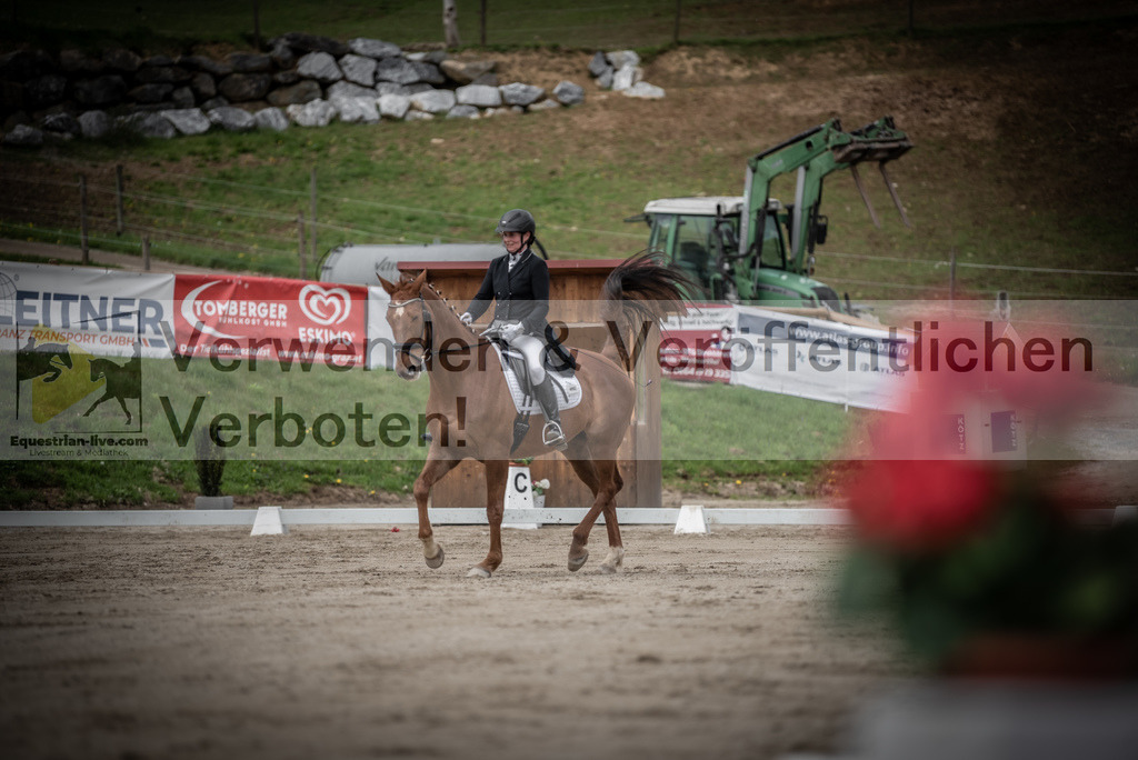DSC_2499 | equestrian-live-com
