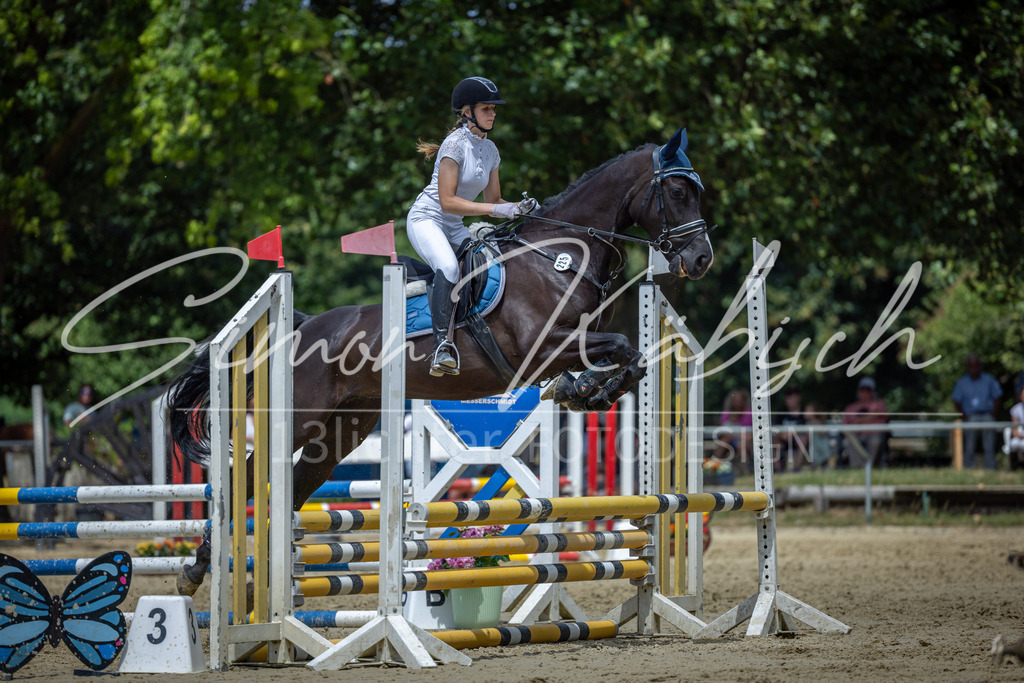 20260704-_3LI8900 | Tierfotografie Pferde, Hunde, Katzen, Haustiere.
Turnierfotografie Reitturniere, Reiten, Springreiten, Dressur in Hanau, dem Main-Kinzig-Kreis und dem Rhein-Main- Gebiet um Frankfurt