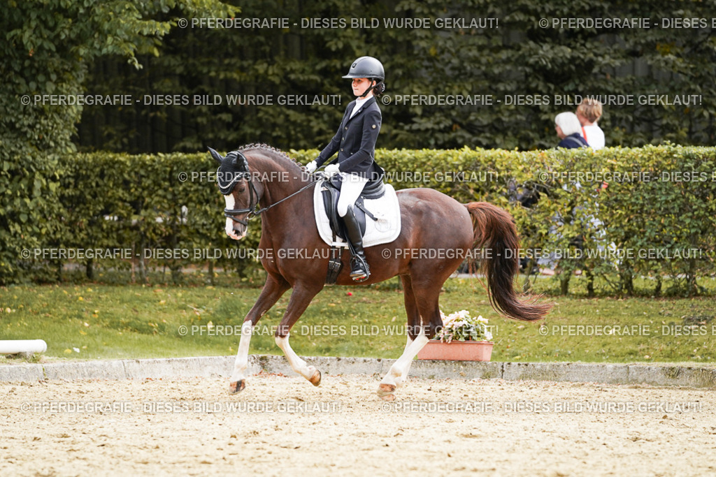 DSC00930 | Pferdegrafie