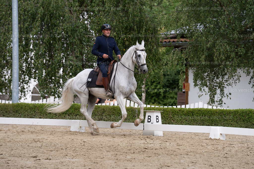 WS_DR_49_sinafilmart_IN00982 | working equitationturnier fotograf videograf stoibphotography marixx film working equitation deutschland reitsport turnierfotografie eventfotografie equestrian events