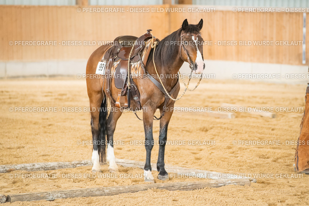 DSC07220 | Pferdegrafie