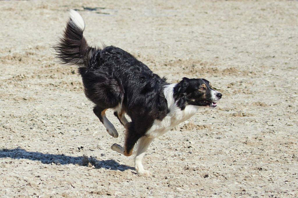 580A0157 | Peter Fridle Fotografie - Realisiert mit Pictrs.com