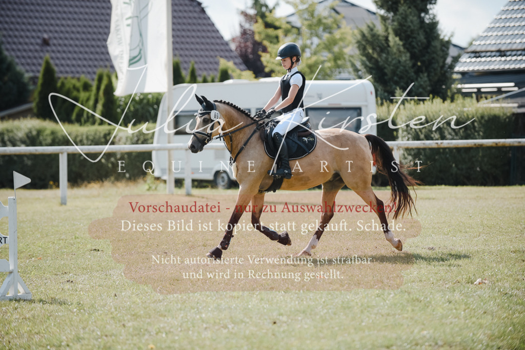 DSC_5306 | Pferde- und Turnierfotografie in Westsachsen. Pferdeportraits, Auftragszeichnungen und intuitive Kunst.