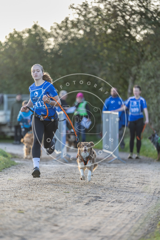 Pfotenfotografie.de_DV3A2507 | Hundefotografie, Tierfotograf, Pfotenfotografie, Fotoshooting Hund, Hunde Portrait, Hundesport, Hundeportraits, Heideshooting, Hunde, Sportfotograf, Hundefotograf, Turnierhundsport, THS, canicross - Realisiert mit Pictrs.com