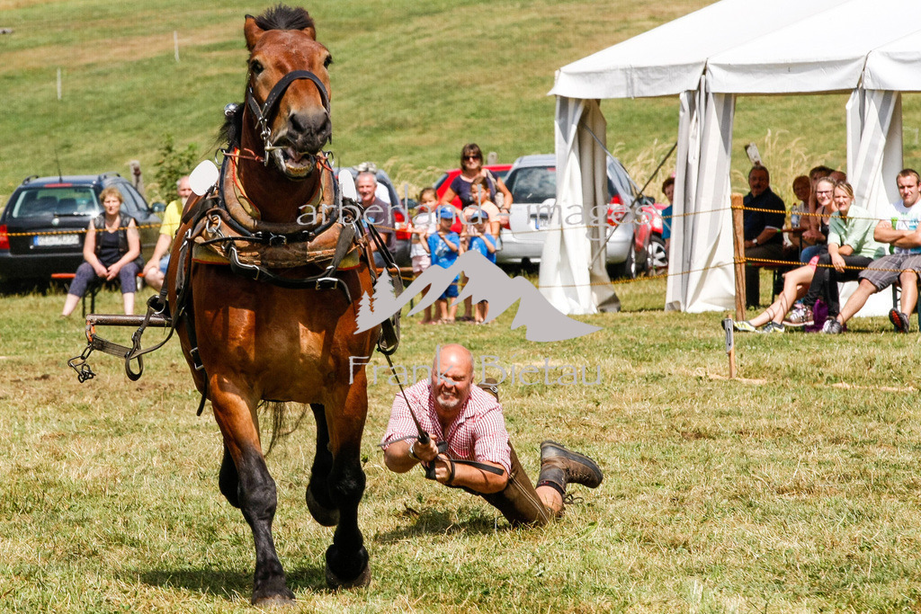 15082015-fb-6281 | Leistungsziehen in Poschetsried 2015