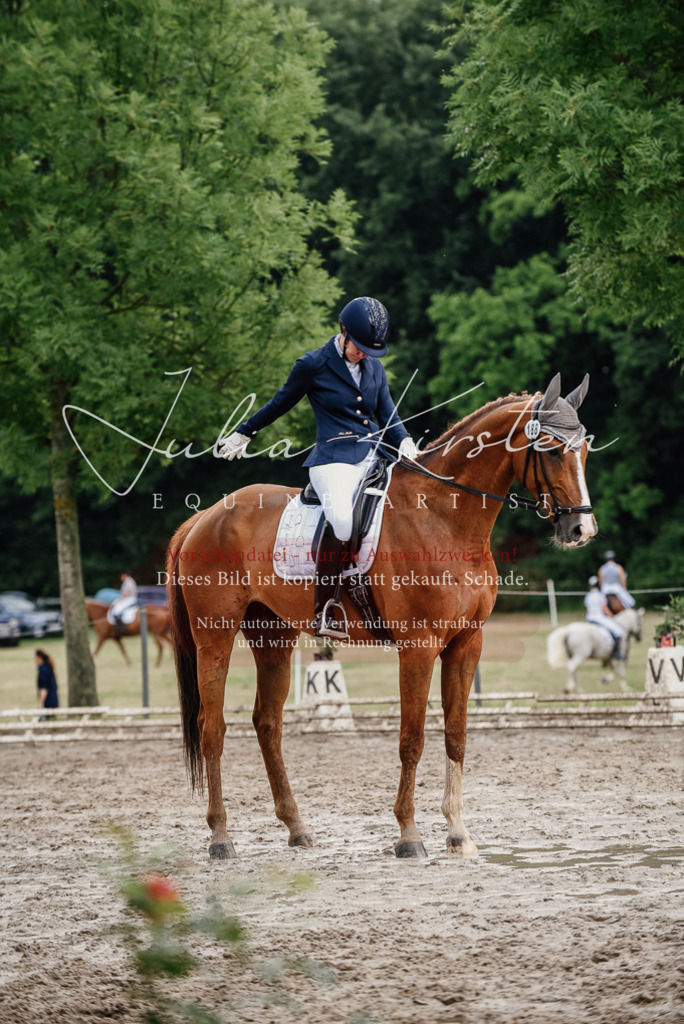 DSC_9958 | Pferde- und Turnierfotografie in Westsachsen. Pferdeportraits, Auftragszeichnungen und intuitive Kunst.