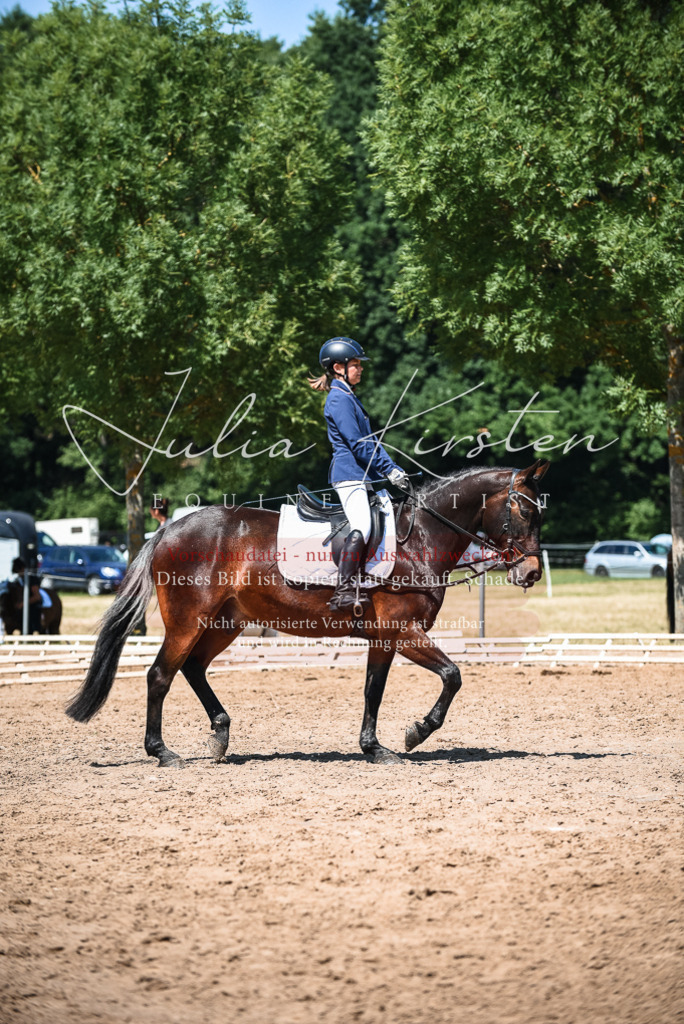 DSC_3361 | Pferde- und Turnierfotografie in Westsachsen. Pferdeportraits, Auftragszeichnungen und intuitive Kunst.