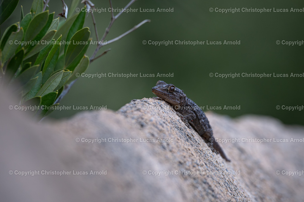 07 - Juli | bildkomponist - Realisiert mit Pictrs.com