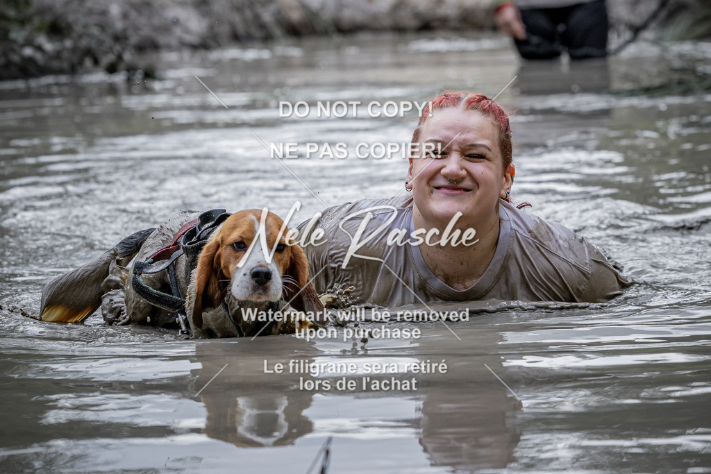 nelerasche_so1145-1230_321 | nelerasche