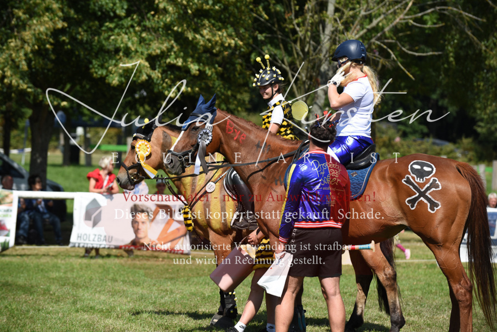 DSC_0455 | Pferde- und Turnierfotografie in Westsachsen. Pferdeportraits, Auftragszeichnungen und intuitive Kunst.