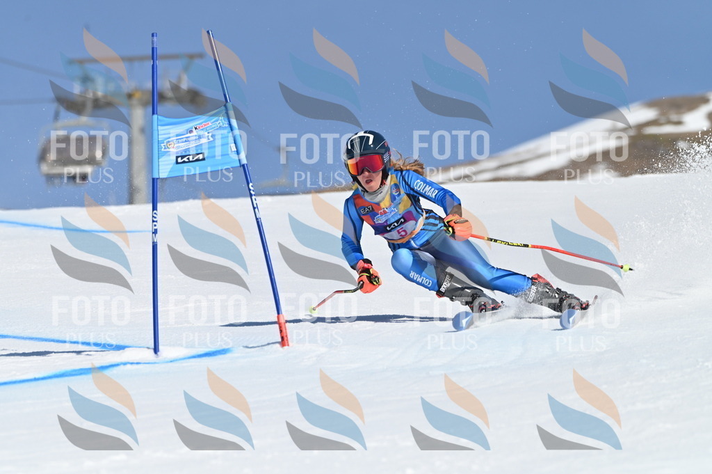 BGV_7651 | holidayphoto