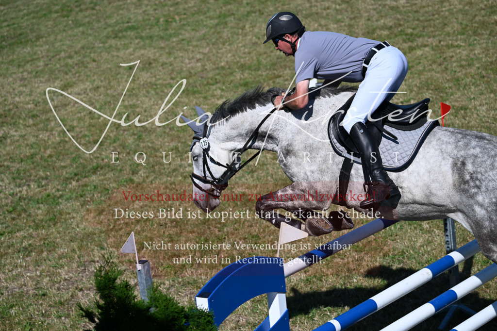 DSC_1966 | Pferde- und Turnierfotografie in Westsachsen. Pferdeportraits, Auftragszeichnungen und intuitive Kunst.