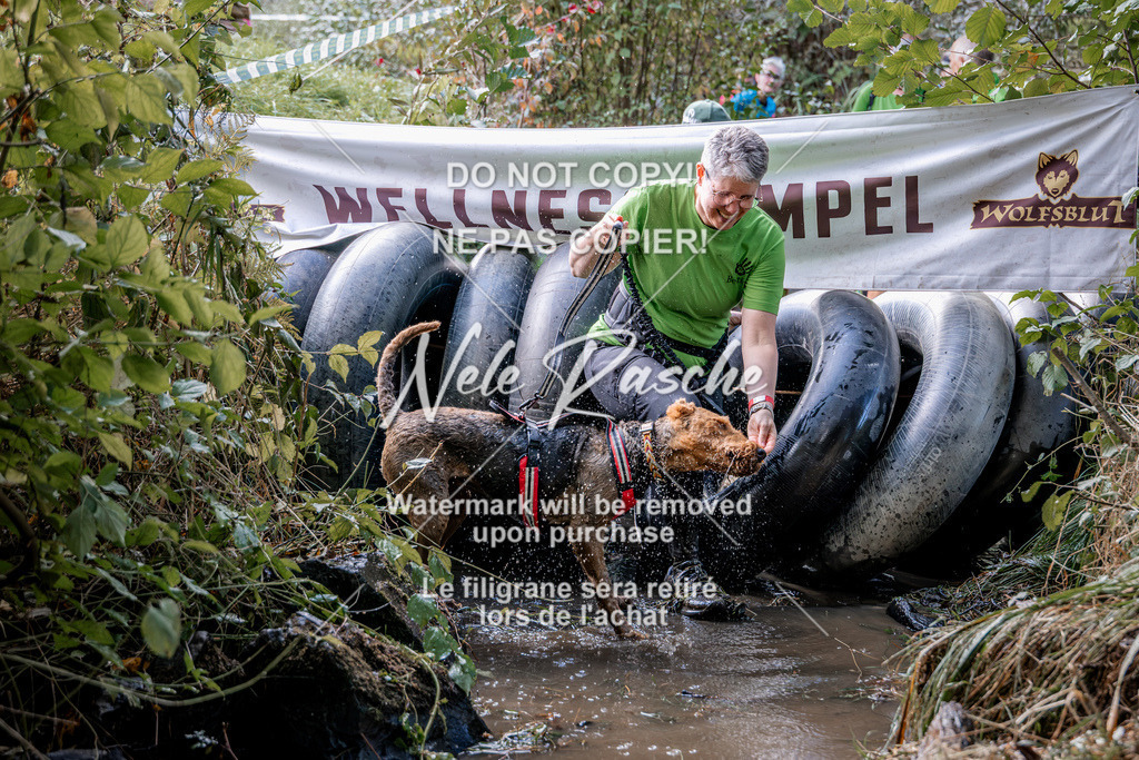 nelerasche_Hunsrück2026_Sa1400-1500_75 | nelerasche