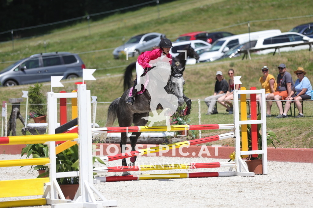 0P6A9008 | Willkommen bei Brunnmayr - Design & Fotografie – Ihrem Spezialisten für Reitturniere und Pferdeveranstaltungen in Oberösterreich, Salzburg und Bayern! Seit über 17 Jahren sind wir leidenschaftlich dabei.