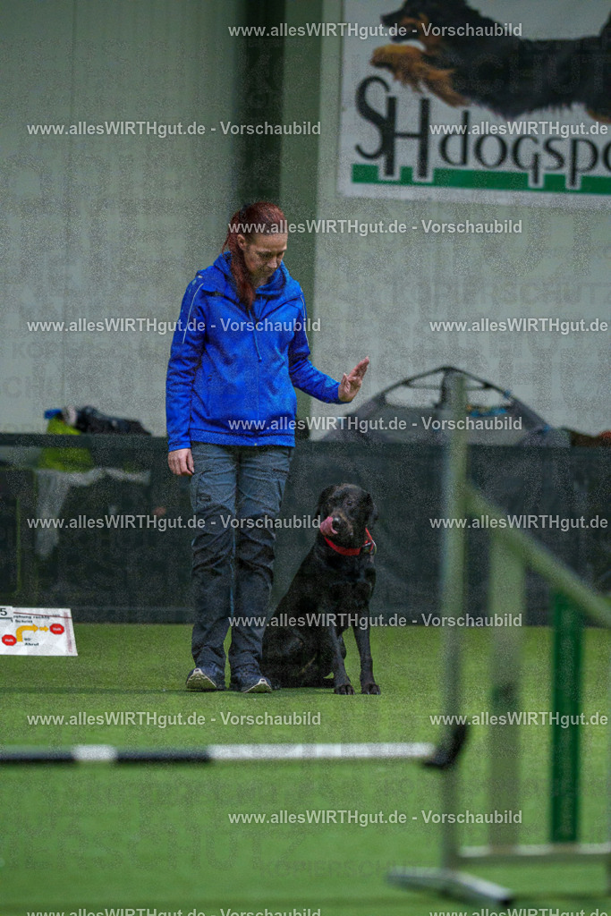 7R504131 | Professionelle Tierfotografie in Mönchengladbach von Daniel Wirth (allesWIRTHgut). Liebevolle & natürliche Bilder von Hunden & Katzen für unvergessliche Erinnerungen.