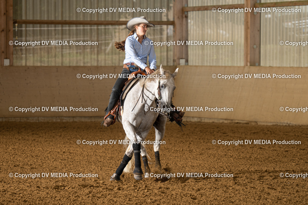 LAU00941 | dv-media-shop - Realisiert mit Pictrs.com