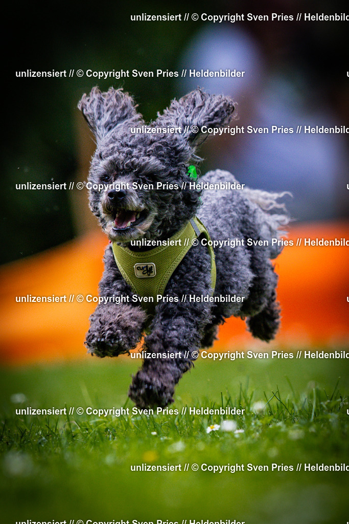 Sven Pries | 2025-05-29 - Pudelrennen KA-Durlach - Realisiert mit Pictrs.com