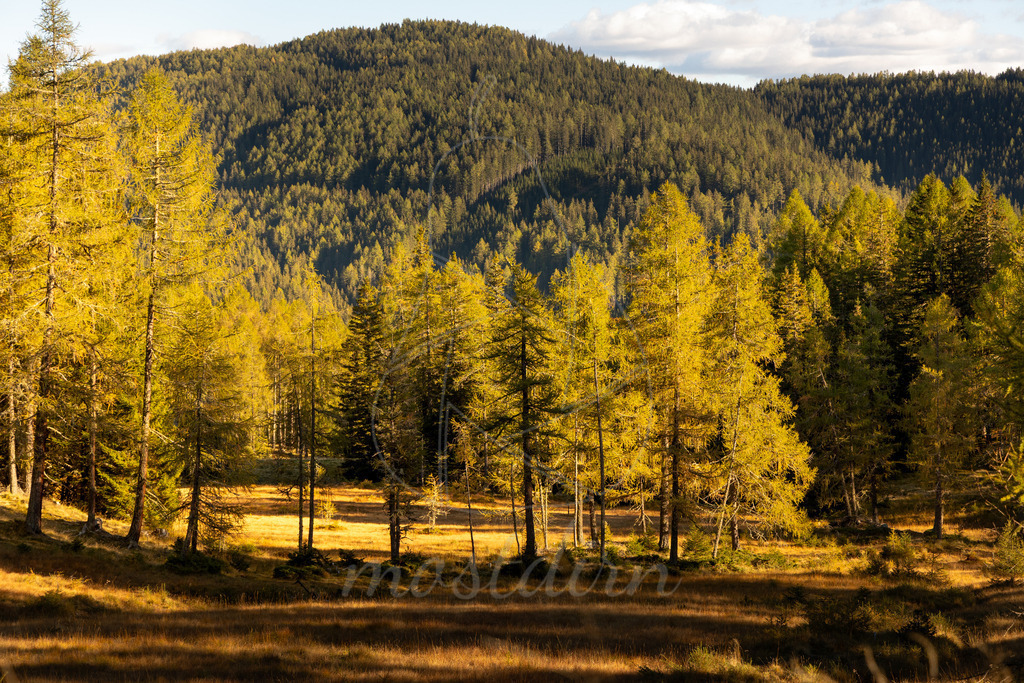 Herbst im Lungau | Ihre Fotografin im Lungau, ihre Fotografin im Mostviertel, Wandbilder Onlineshop, Imagefotos für Ihr Unternehmen,  - Realisiert mit Pictrs.com