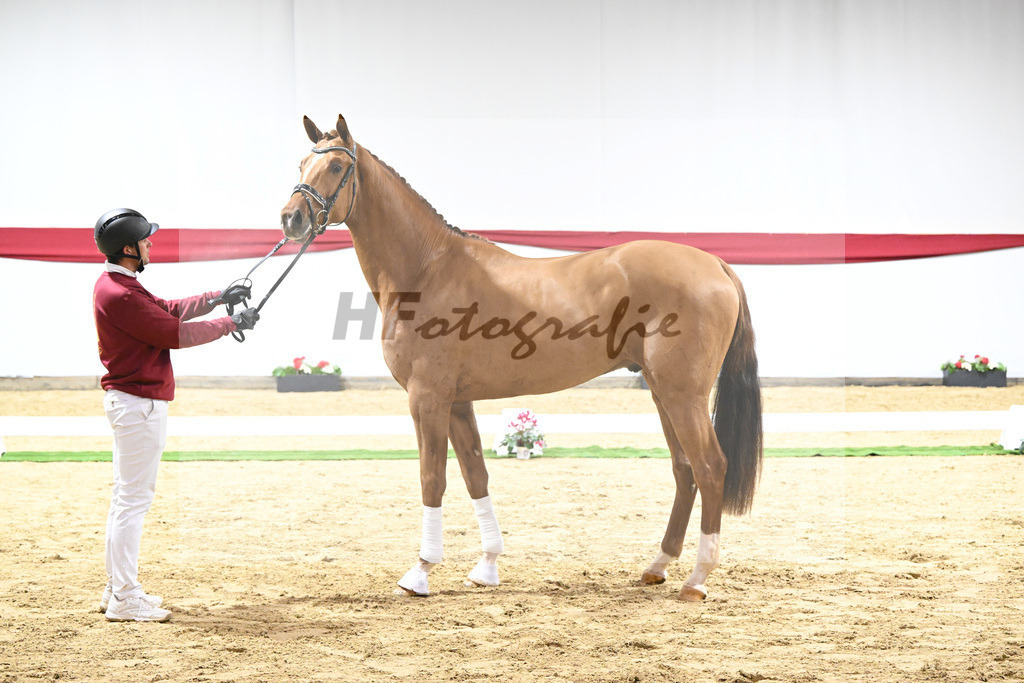 Kat-Nr. 52 v. Vivino_ZG Syha u Winkler_63221440 | hf-fotografie - Realizzato con Pictrs.com