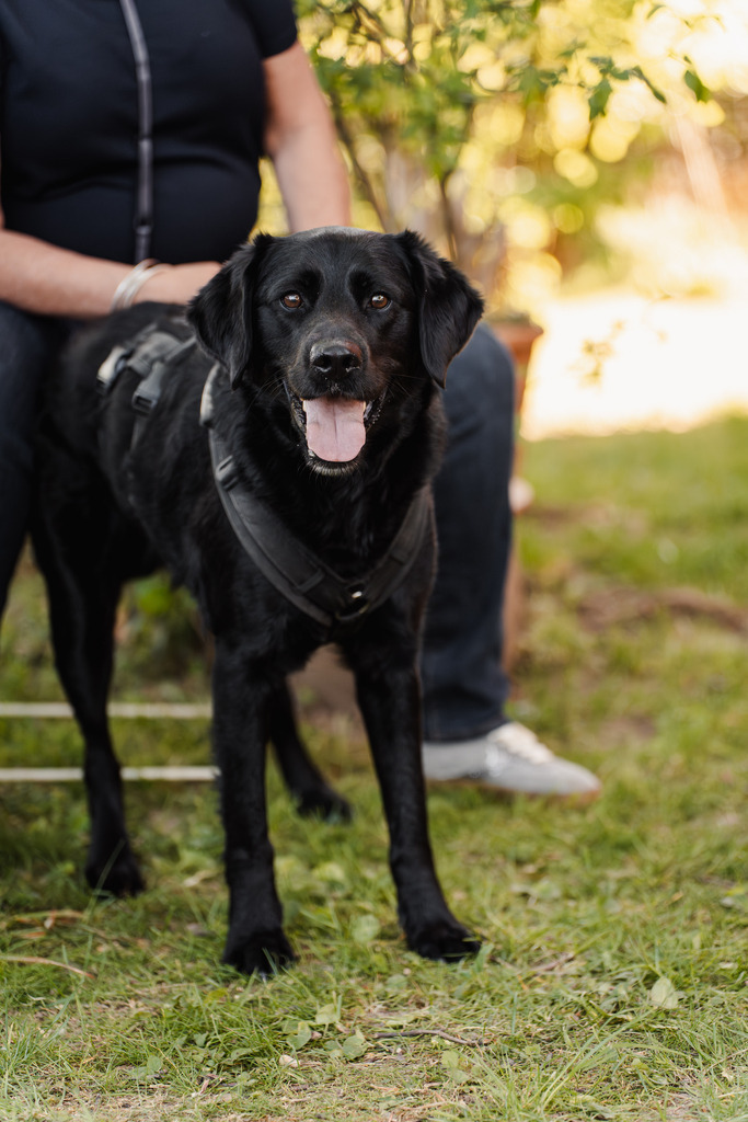 20260426-205 | MuT (Mensch und Tier) mit Mona - Fotografie und Tierkommunikation - Realisiert mit Pictrs.com