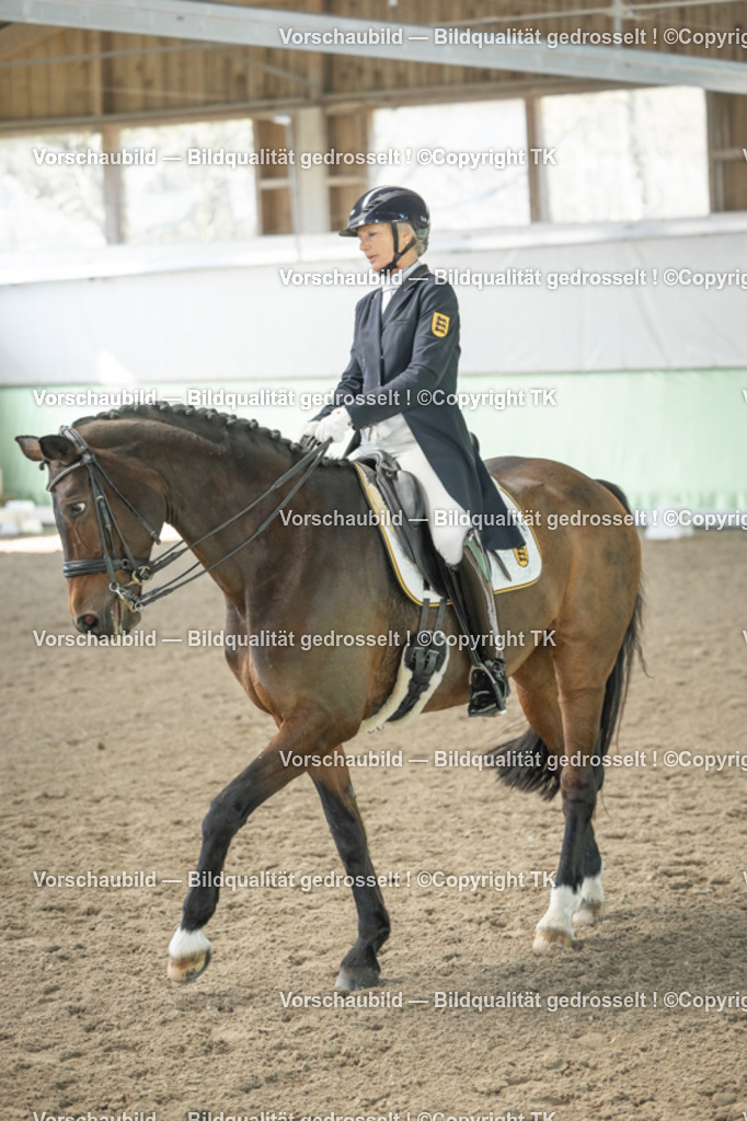 _D5A1516 | Emotionale Pferde- & People-Fotografie rund um Heidelberg, Leimen & Umgebung. Natürliche Fotos von Pferd, Mensch & Familie. Jetzt Termin sichern!