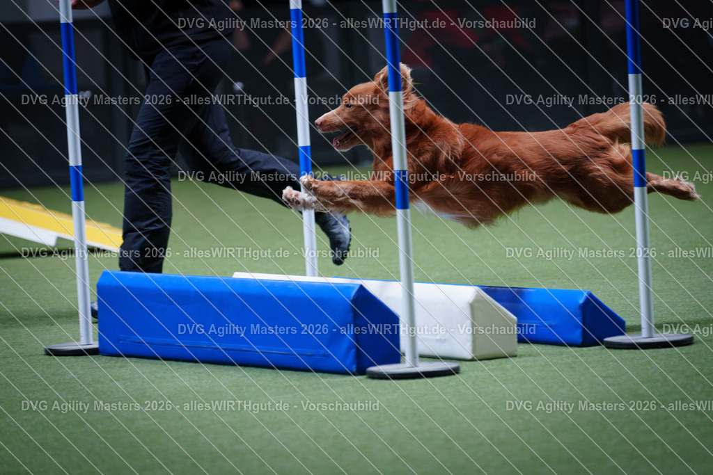 allesWIRTHgut_Tierfotografie-DVG_Agility_Masters_2026-12_35-7R502586 | Professionelle Tierfotografie in Mönchengladbach von Daniel Wirth (allesWIRTHgut). Liebevolle & natürliche Bilder von Hunden & Katzen für unvergessliche Erinnerungen.