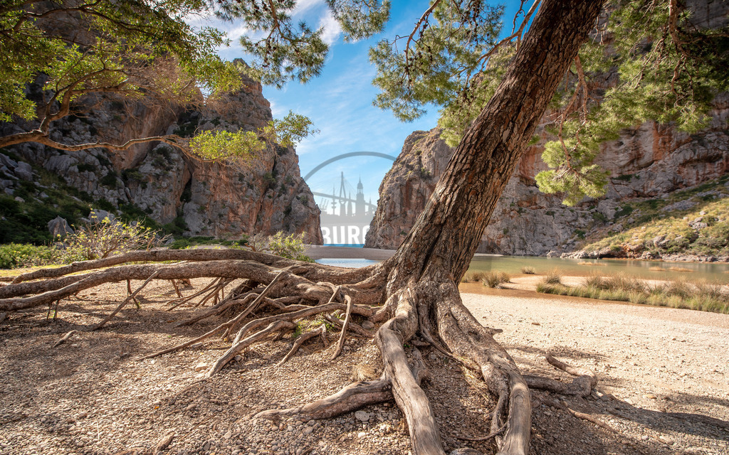 Natur-in-Bildern-by-stativkunst.de-012 | Exklusive Hamburg collagen, tolle Segelbilder und viele weitere tolle Motive auf Leinwand, Poster, Alu-Dibond, u.v.m. findet Ihr bei uns auf hamburgbild.de. Findet Euer Wandbild für Euer Zuhause, Büro oder die  Praxis…. - Realisiert mit Pictrs.com