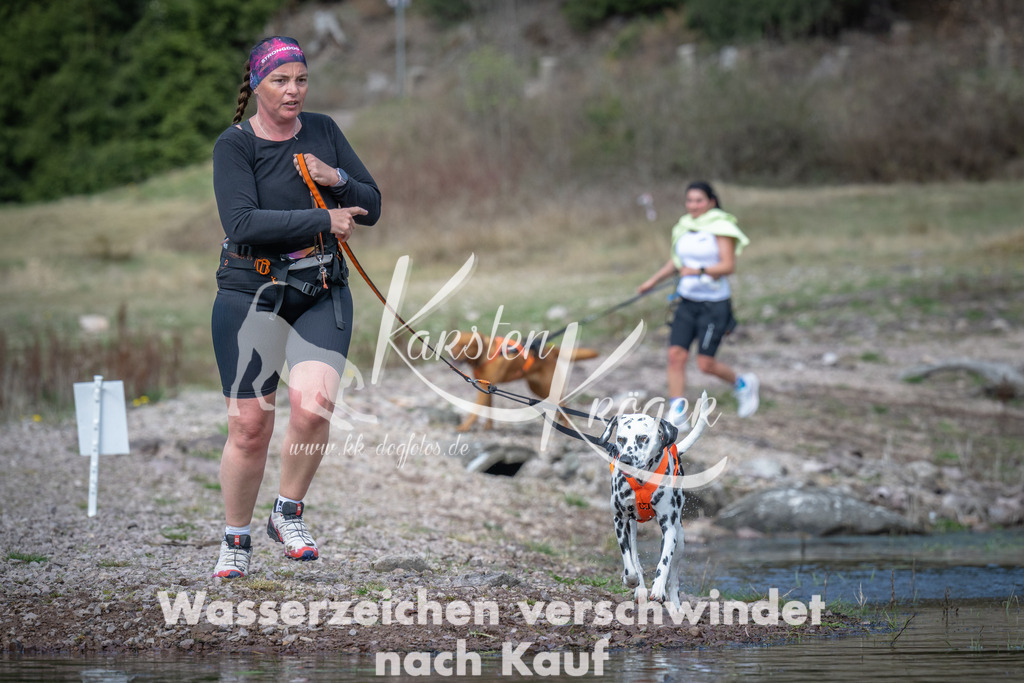 1100_ZZ92552 | kk-dogfotos