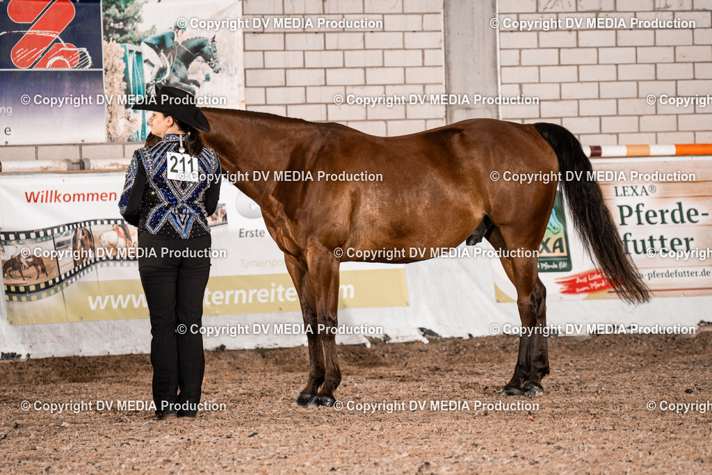 ZH200047 | dv-media-shop - Realisiert mit Pictrs.com