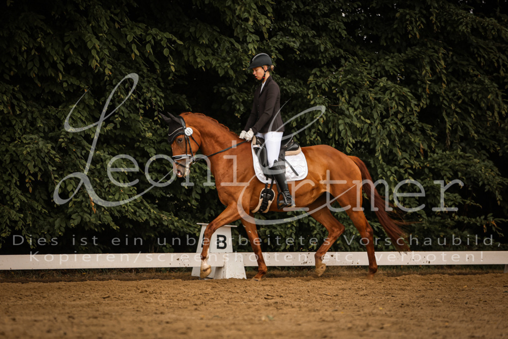 DoDrA00239 | Leoni Ertmer Photography - Realisiert mit Pictrs.com