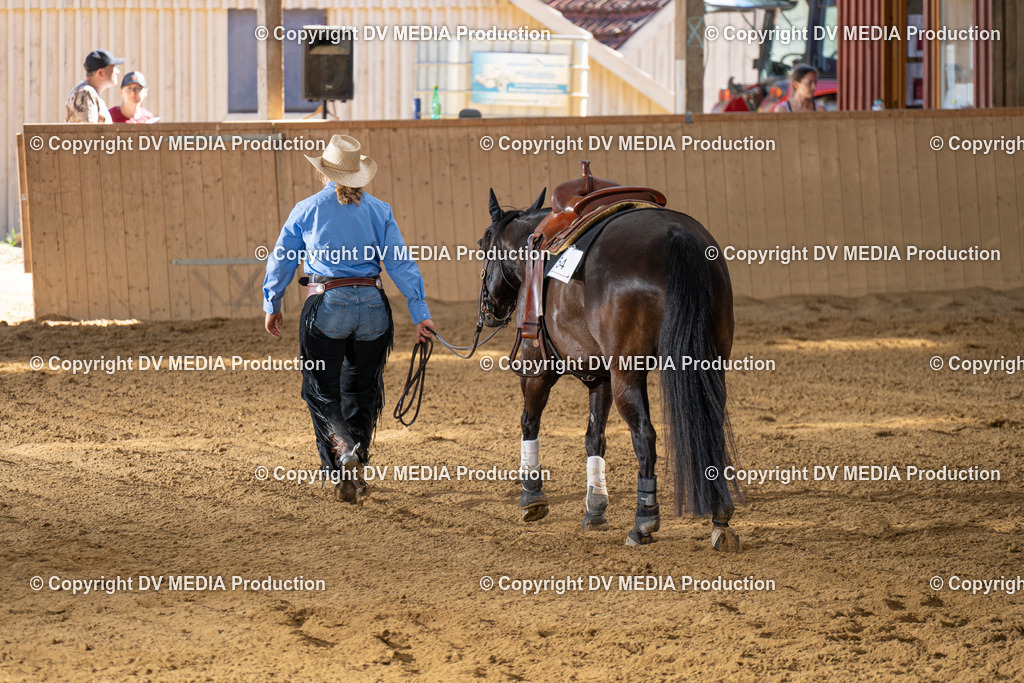 DSC00066 | dv-media-shop - Realisiert mit Pictrs.com