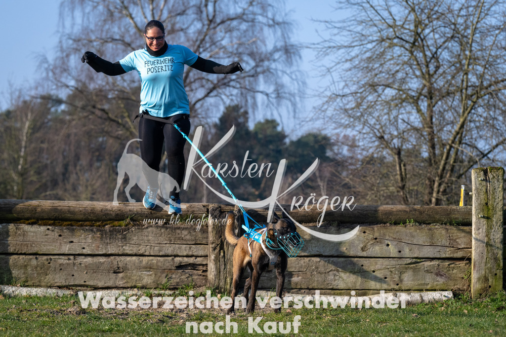 _ZZ92949 | kk-dogfotos