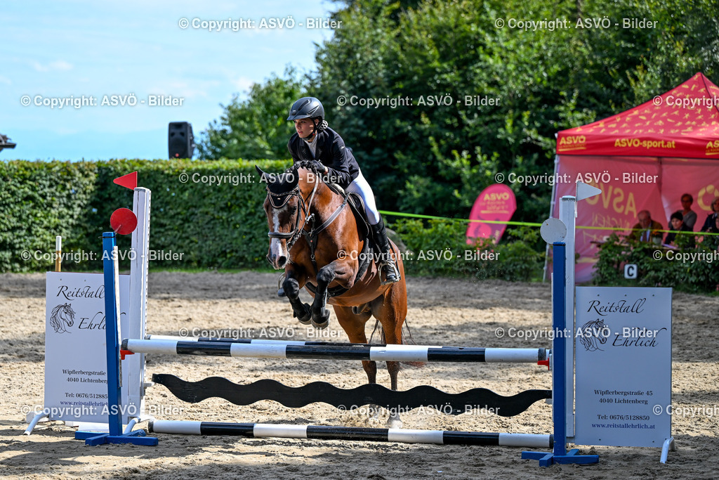 ASVÖ_ Reiten Bezirksmeisterschaft_ 24.08.2025-124 | 24.08.2025, AUT, ASVÖ, Reiten Bezirksmeisterschaft 2025Dressur und Springreiten©fodo.media / Harald Dostal - Realisiert mit Pictrs.com