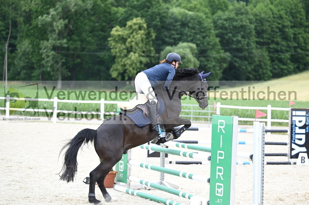 DSC_4339 | equestrian-live-com
