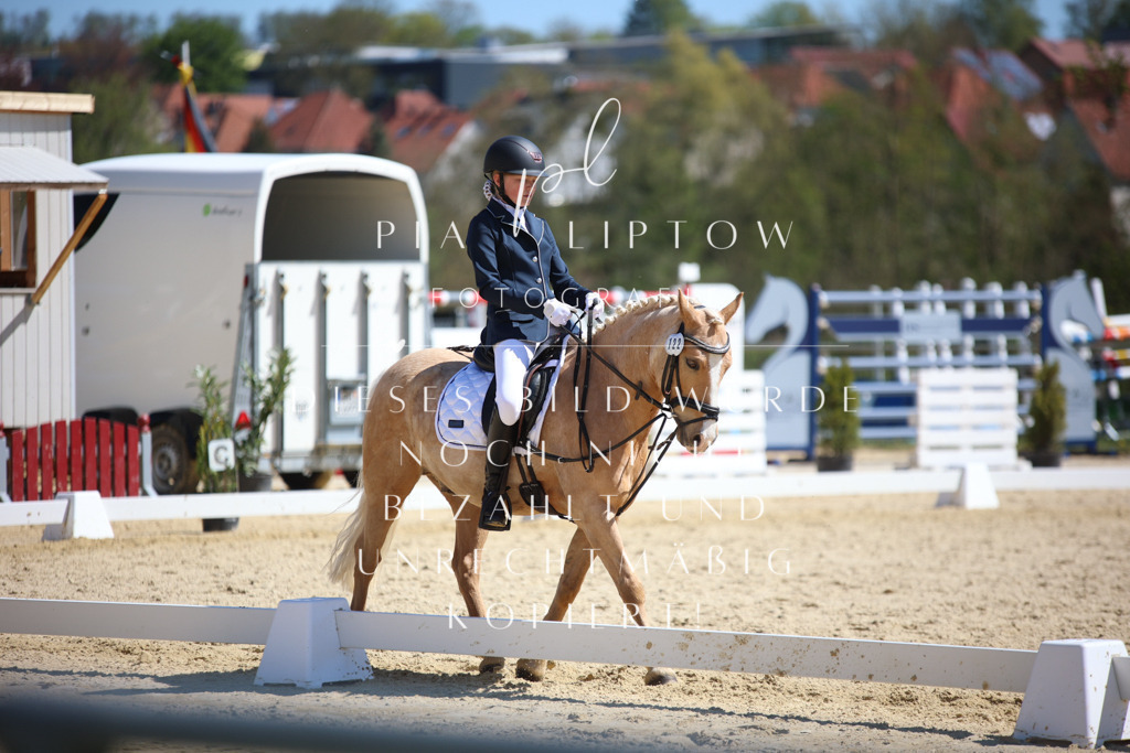 IMGT1061 | pl-fotografie