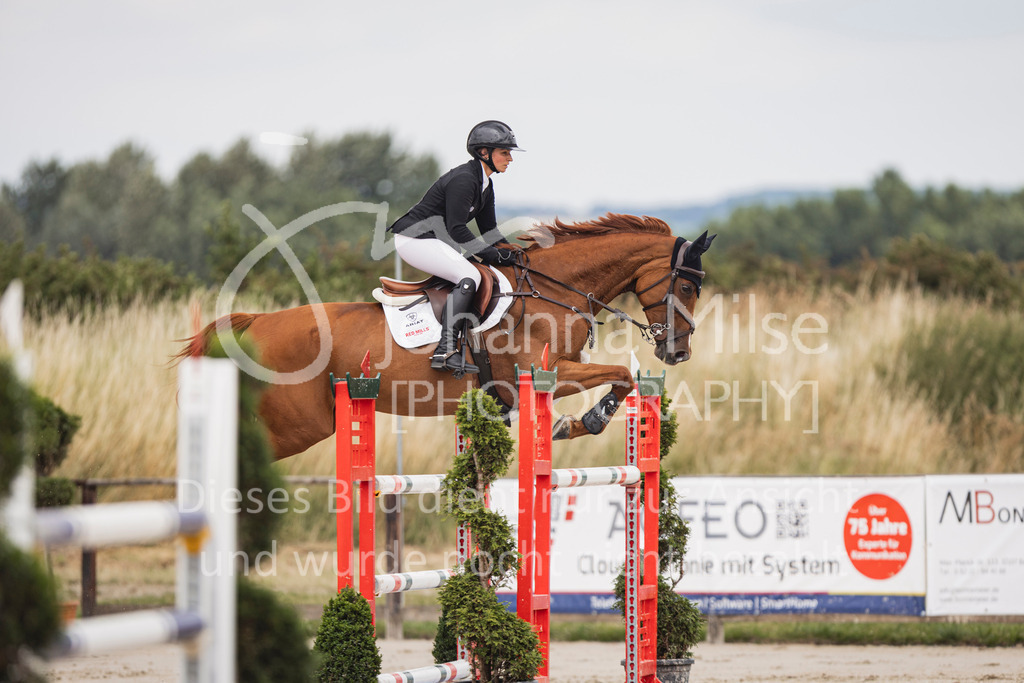 250628_PfSpTa_Youngster-S-440 | Deine schönsten Turniermomente als professionelle Fotos! Entdecke hochwertige Pferdesport-Fotografie im Online-Shop. Jetzt Fotos finden & bestellen!