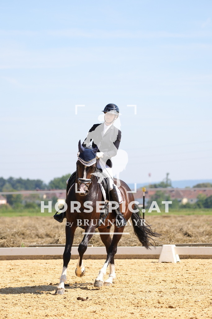 0P6A9610 | Willkommen bei Brunnmayr - Design & Fotografie – Ihrem Spezialisten für Reitturniere und Pferdeveranstaltungen in Oberösterreich, Salzburg und Bayern! Seit über 17 Jahren sind wir leidenschaftlich dabei.