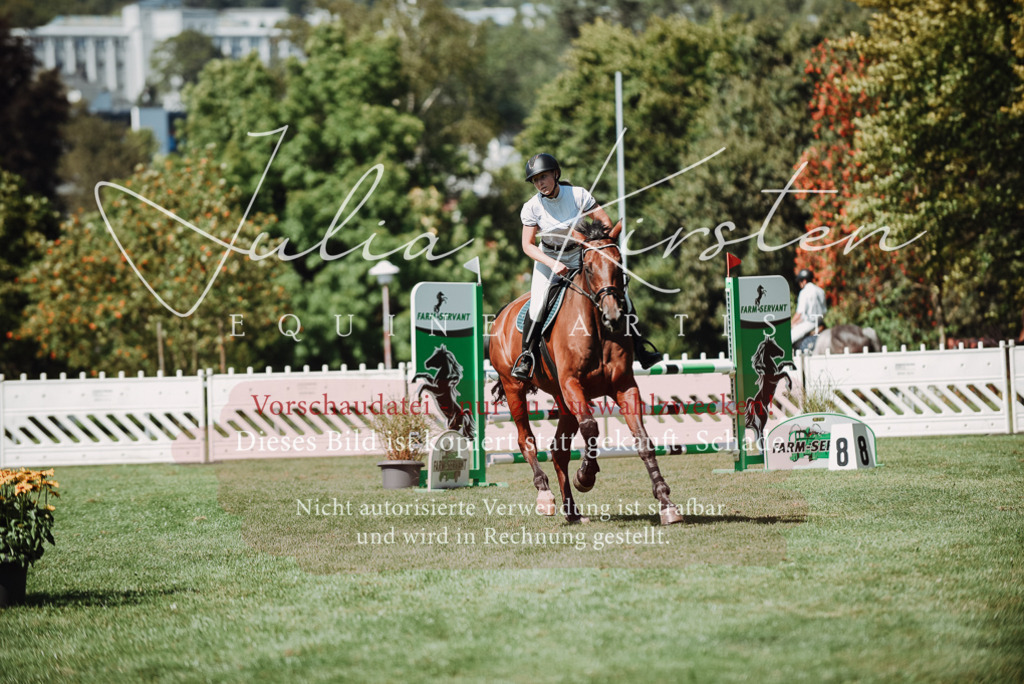 DSC_3085 | Pferde- und Turnierfotografie in Westsachsen. Pferdeportraits, Auftragszeichnungen und intuitive Kunst.