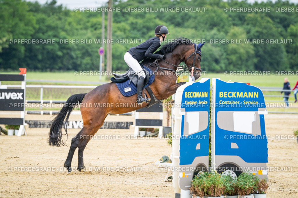 DSC03489 | Pferdegrafie