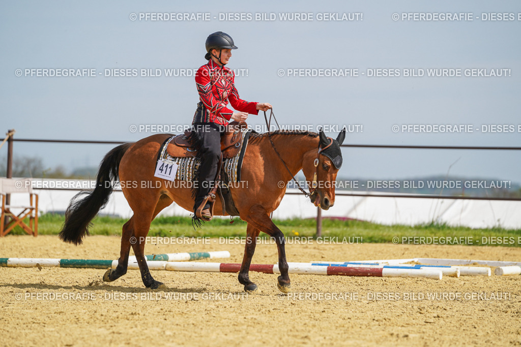 DSC04477 | Pferdegrafie