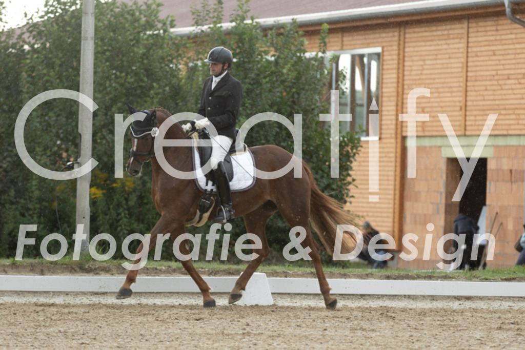 IMG_4267 | Creatify Fotografie