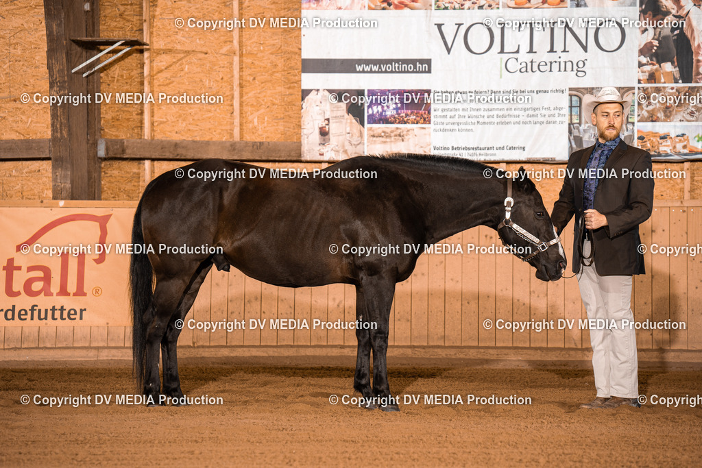 NE100079 | dv-media-shop - Realisiert mit Pictrs.com