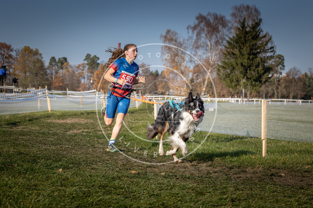 CaniXpix_0L8A9121 | Hundefotografie, Tierfotograf, Pfotenfotografie, Fotoshooting Hund, Hunde Portrait, Hundesport, Hundeportraits, Heideshooting, Hunde, Sportfotograf, Hundefotograf, Turnierhundsport, THS,  - Realisiert mit Pictrs.com