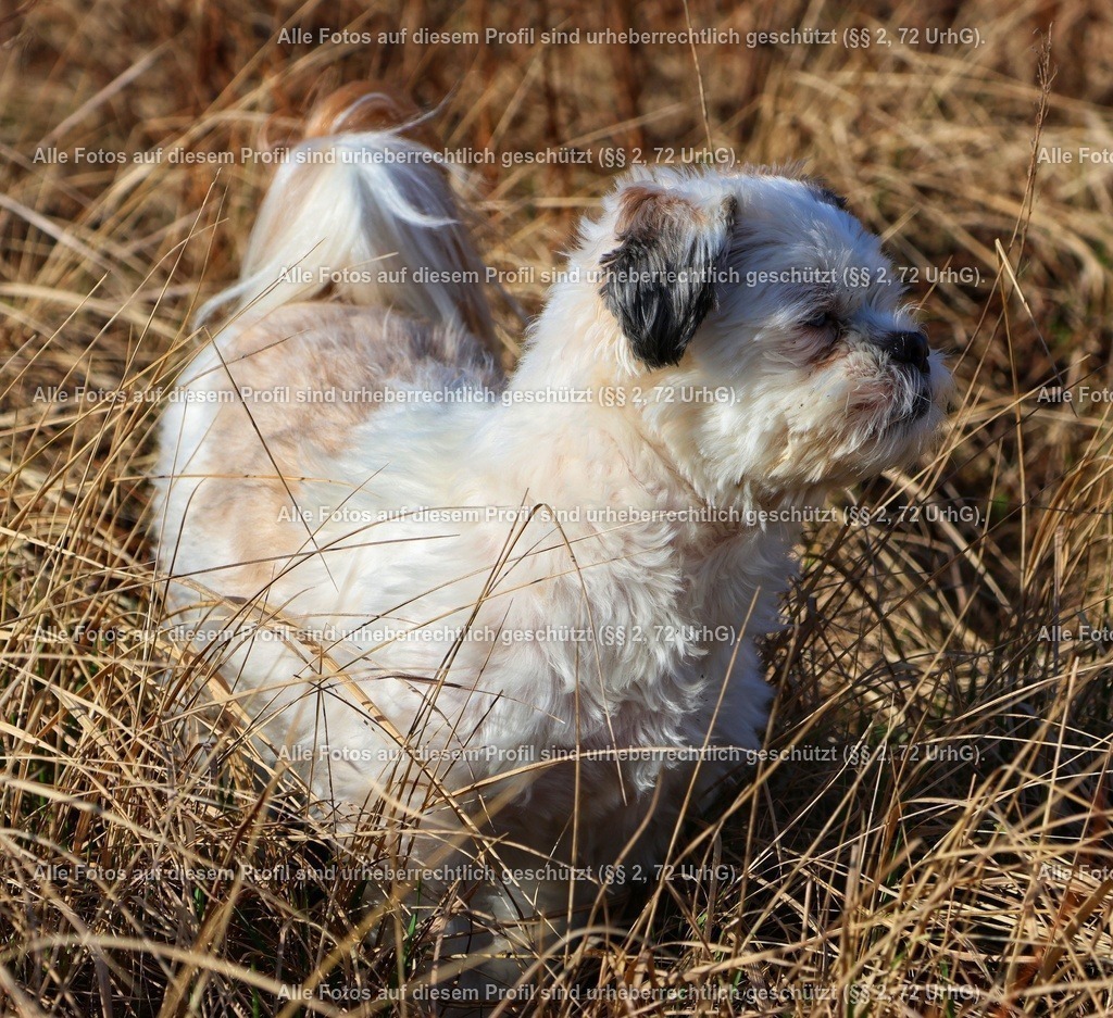 20240224101218_0C4A1858_2-01 | krollfotografie - Realisiert mit Pictrs.com