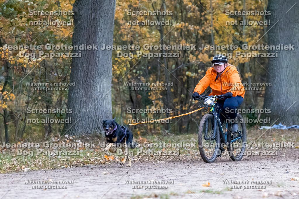 Dog Paparazzi - SD CaniX Championship 2025-270 | Dog Paparazzi Jeanette Grottendiek Fotografie & Videografie - Realisiert mit Pictrs.com
