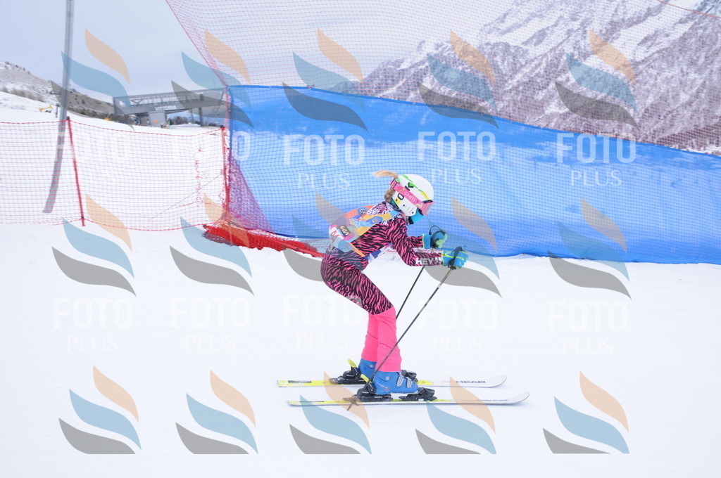 DSC_8275 | holidayphoto