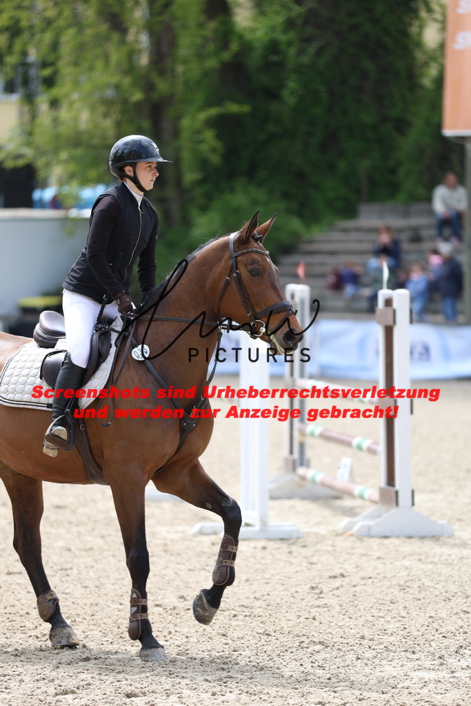 A40A2150 | lmwpictures - Realisiert mit Pictrs.com