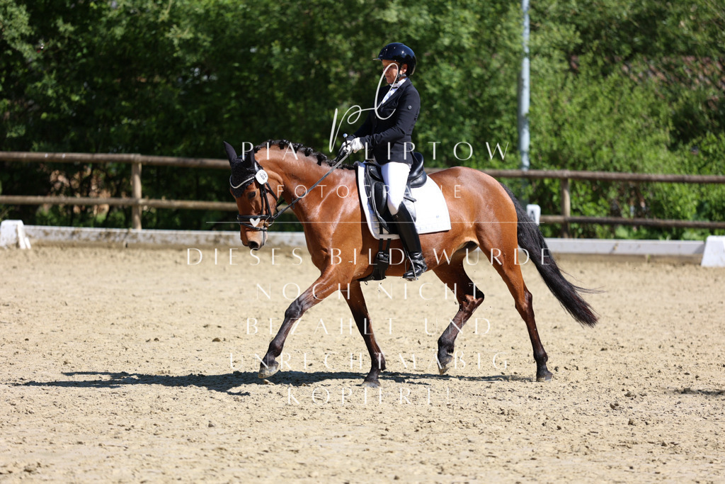 IMGT0474 | pl-fotografie